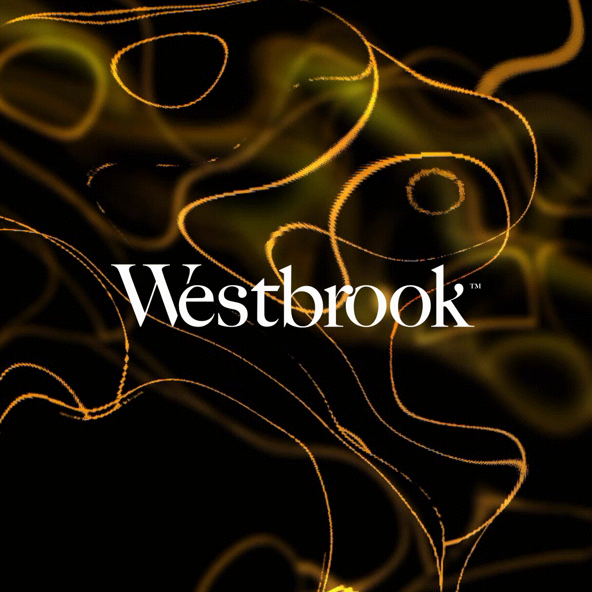 westbrook-Thumbnail-min westbrook-Thumbnail-min
